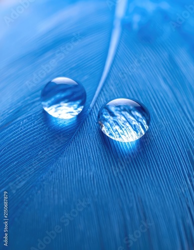 Macro shot of two water droplets on a vibrant blue feather.