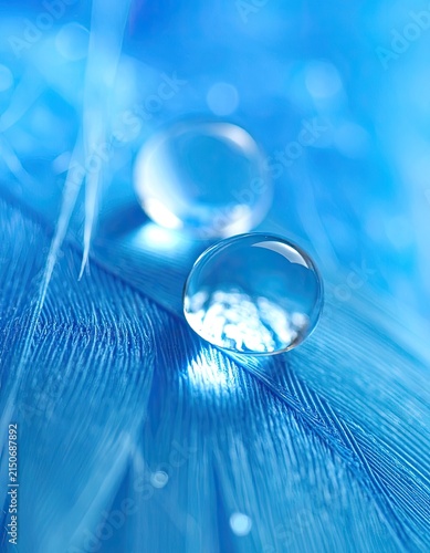 Macro shot of water droplets on a blue feather.