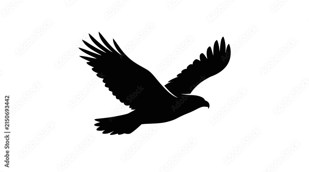 Fototapeta premium Silhouette of a flying bird in mid air.