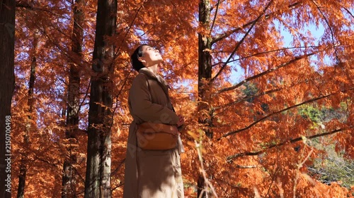 秋の紅葉を楽しむ女性　ミドルエイジ