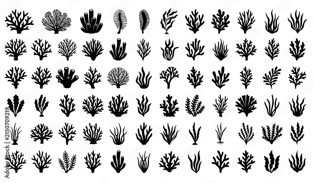 Obraz premium Marine Botanical Silhouette Collection Coral Kelp Seaweed Vector Illustration