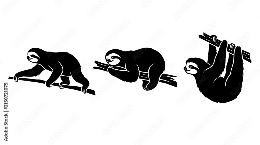 Fototapeta premium Set of Three Sloth Silhouettes in Various Poses Hanging and Climbing on Tree Branches