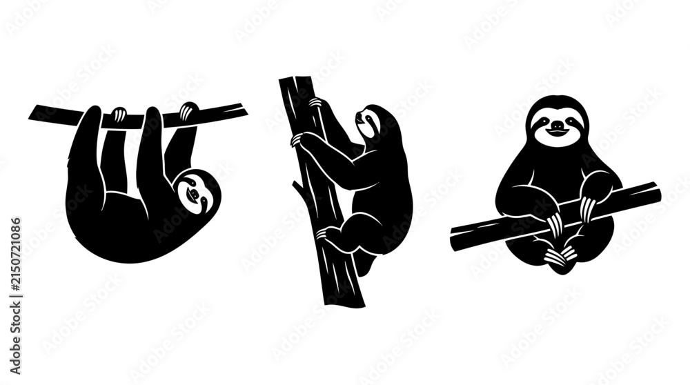Fototapeta premium Set of Three Black Sloth Silhouettes Hanging and Climbing on Tree Branches Isolated on White Background