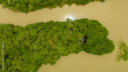 Obraz na płótnie Honnavar mangroves aerial view, Karnataka India