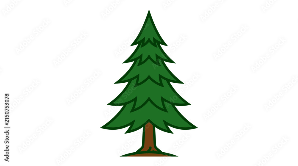 Fototapeta premium Green evergreen tree isolated white background