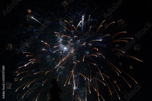 Spectacular Fireworks Display After Dark