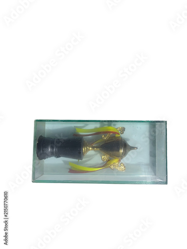 Gold trophy award in a clear plastic display box for sports competition or business achievement.