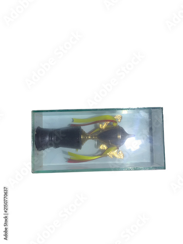 Gold Trophy Award Inside Clear Plastic Display Case for Achievement and Success Recognition