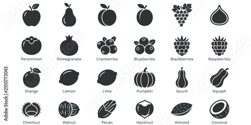A comprehensive collection of various fruits and nuts icons with detailed labels for commercial use in stock photography