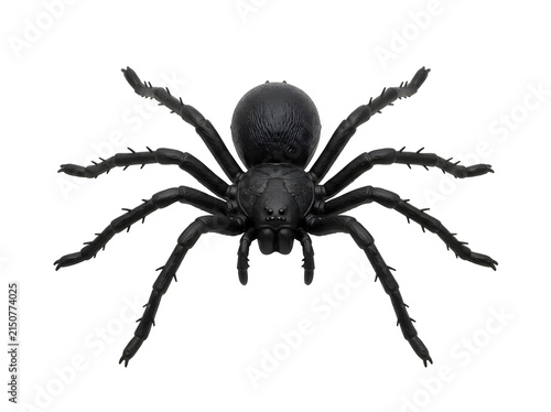 Spider black plastic toy for Halloween decoration, isolated on transparent background