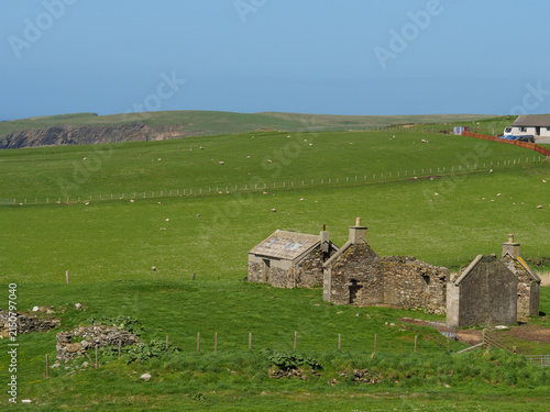 Konstfotografi Frühling auf den Shetland inseln