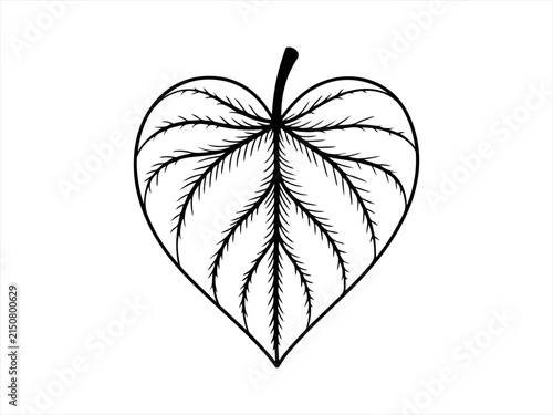Heart shaped botanical leaf outline with tropical foliage flat vector isolated illustration design