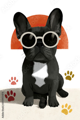Rrench bulldog wearing retro sunglasses
