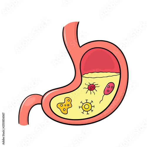 Stomach Virus handdrawn illustration