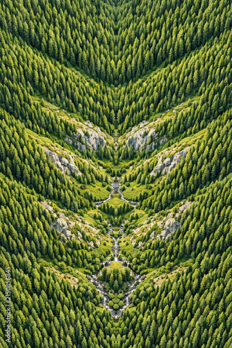 Vibrant green trees on a mountain ridge line with streams meandering below.