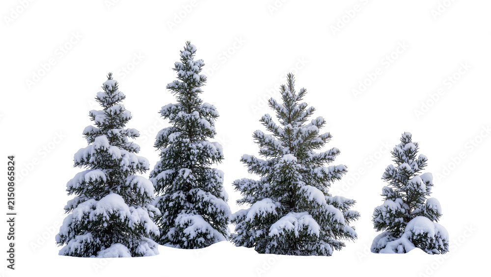 Obraz premium Isolated collection of festive snow-covered coniferous trees ready for winter holiday designs