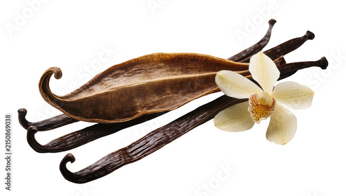 Foto Isolated vanilla orchid flower and dried husk with gourmet dark brown aromatic p