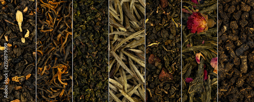 Different types of tea leaves showing their unique textures in a simple arrangement