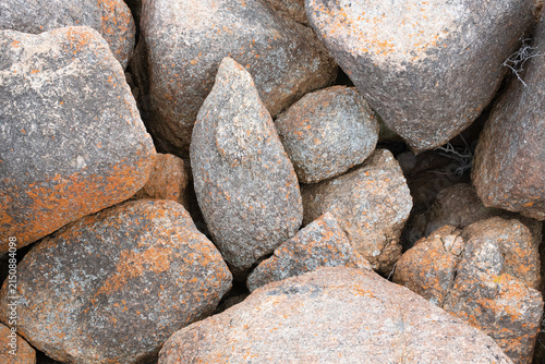 Natural rock texture showing detailed surface patterns and mineral colours, photographed in Western Australia.