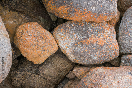 Natural rock texture showing detailed surface patterns and mineral colours, photographed in Western Australia.