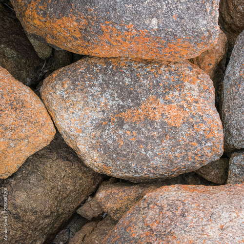 Natural rock texture showing detailed surface patterns and mineral colours, photographed in Western Australia.