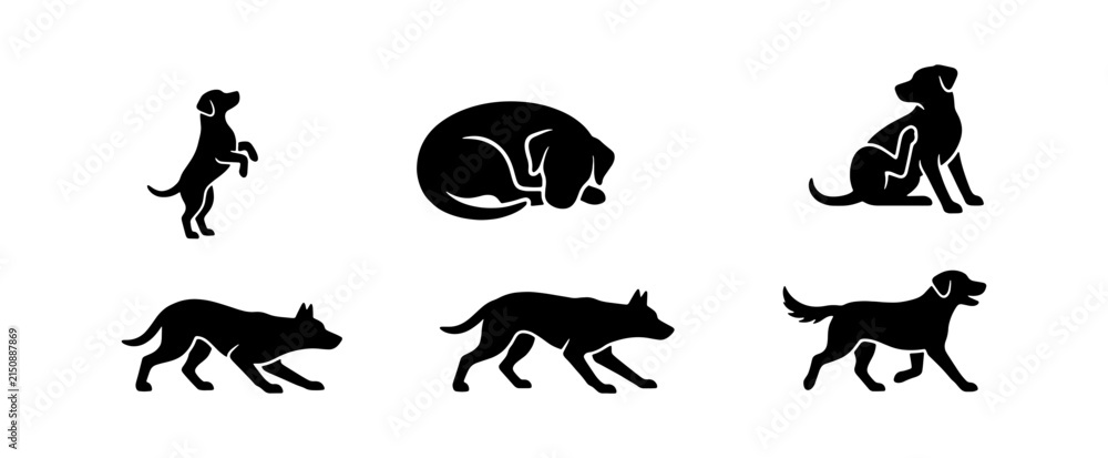 Obraz premium Dog Silhouette Collection, Canine Poses Vector Set, Pet Animal Icons, Black and White Graphic Elements for Design