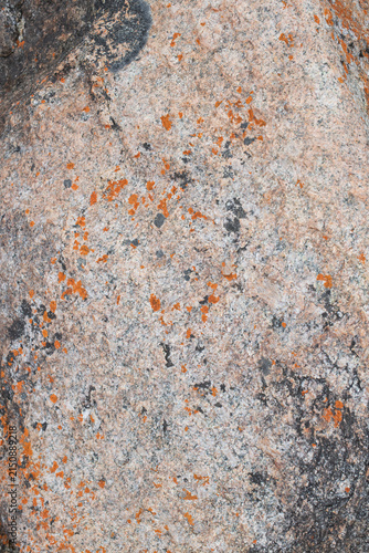 Natural rock texture showing detailed surface patterns and mineral colours, photographed in Western Australia.