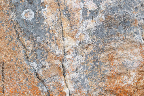 High‑resolution close‑up of a natural rock surface showing detailed texture, organic patterns, and weathered geological features. Ideal for backgrounds, design elements, and nature‑themed creative pro