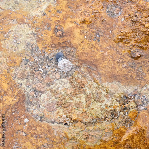High‑resolution close‑up of a natural rock surface showing detailed texture, organic patterns, and weathered geological features. Ideal for backgrounds, design elements, and nature‑themed creative pro