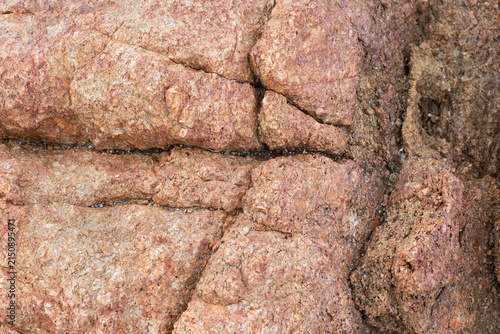 Natural red rock texture with coarse surface detail and weathered mineral patterns.