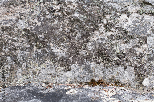 High‑resolution close‑up of a natural rock surface showing detailed texture, organic patterns, and weathered geological features. Ideal for backgrounds, design elements, and nature‑themed creative pro