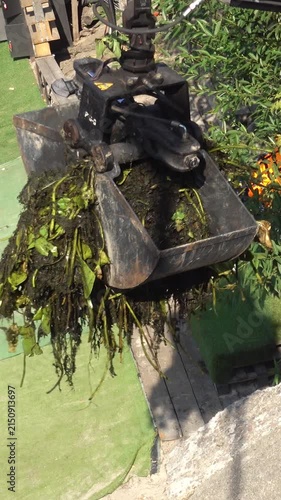 Close view of a hydraulic excavator grapple carrying wet uprooted aquatic vegetation and mud as maintenance equipment removes plant debris during canal or pond cleanup