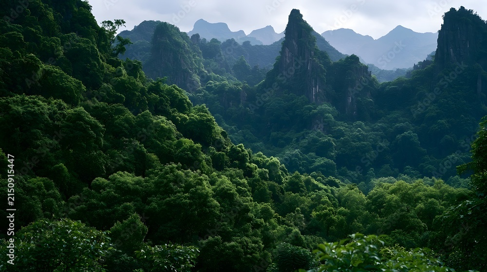 Obraz premium Lush green forest blankets towering karst mountains under a soft overcast sky creating serene natural scenery