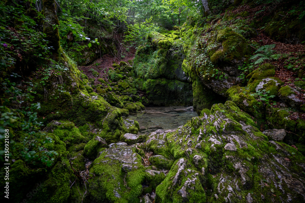 Naklejka premium Beautiful forest details. Mossy rocks forming a small cave in a mountain forest.