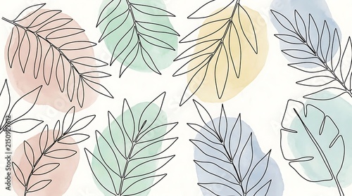 Botanical leaf line drawing back