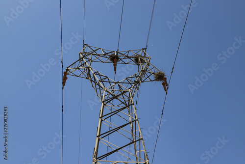 Low‑angle Shot Of High‑voltage Transmission Tower With Bird Nests Under Blue Sky