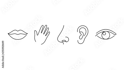Bild auf Leinwand Minimalist line art icons representing the five human senses of sight hearing sm