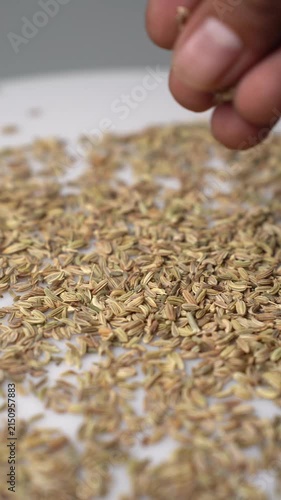 Close-up of dried fennel seeds (Foeniculum vulgare) being dropped by fingers onto a white surface, showcasing culinary spices and natural food ingredients