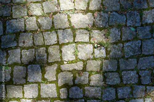 Принти на полотні Dappled sunlight and moss on weathered cobblestone pavement