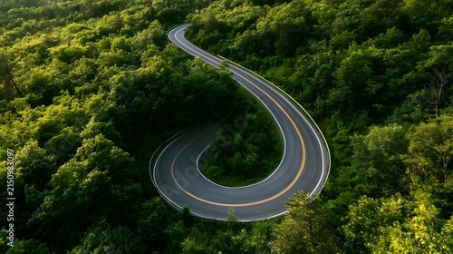 Scenic winding road in forest, suitable for green business concepts, climate responsibility, sustainable investment planning, and eco-conscious corporate messaging.