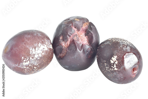 Spoiled plums are covered with mold spots. The fruit appears rotten and unfit for consumption.