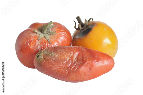 The image shows tomatoes affected by various diseases: late blight, blossom end rot and cracking.