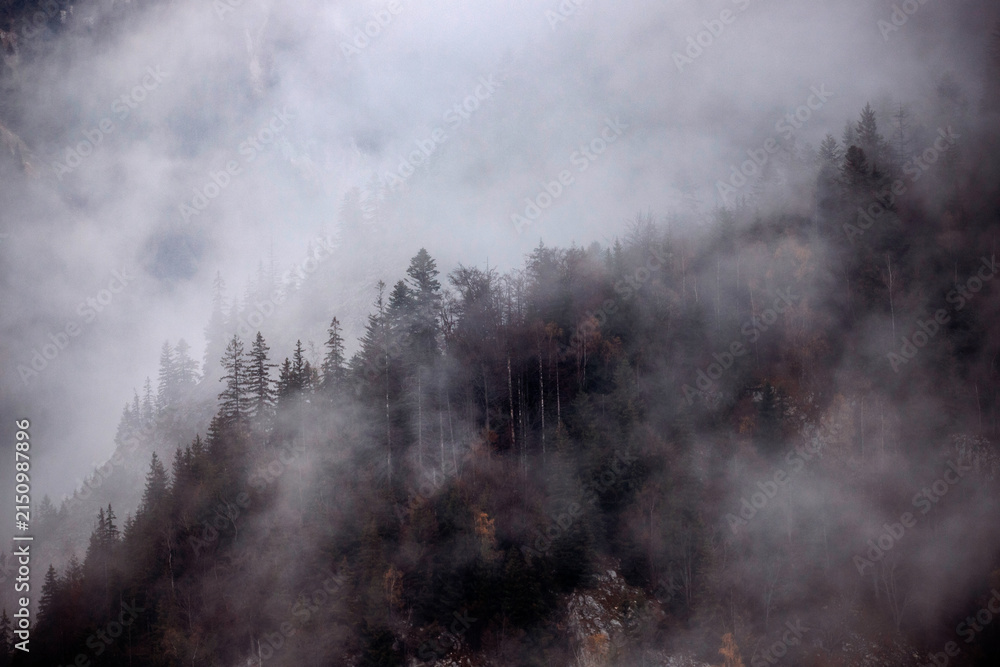 Naklejka premium Beautiful mountain landscape in fall with colorful trees and white fog , aerial view. Misty forest
