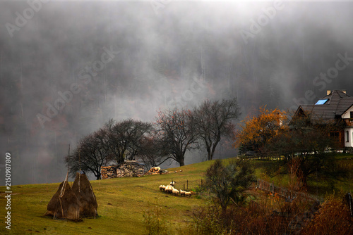 Foggy rural summer landscape in mountains