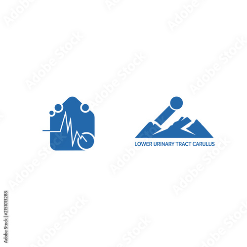 Lower Urinary Tract Carunculus Medical Iconography and Symbolism