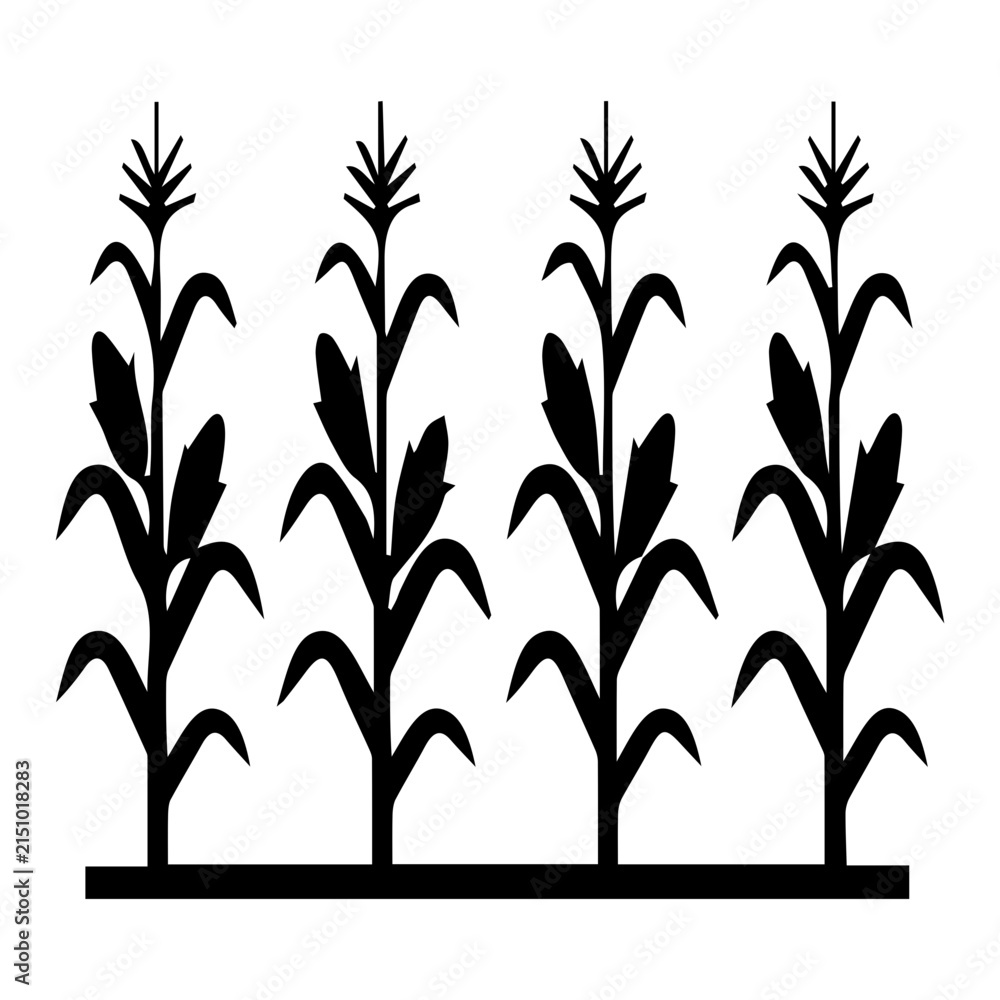 Fototapeta premium Four Corn Plants Growing Together In Simple Black Illustration Style