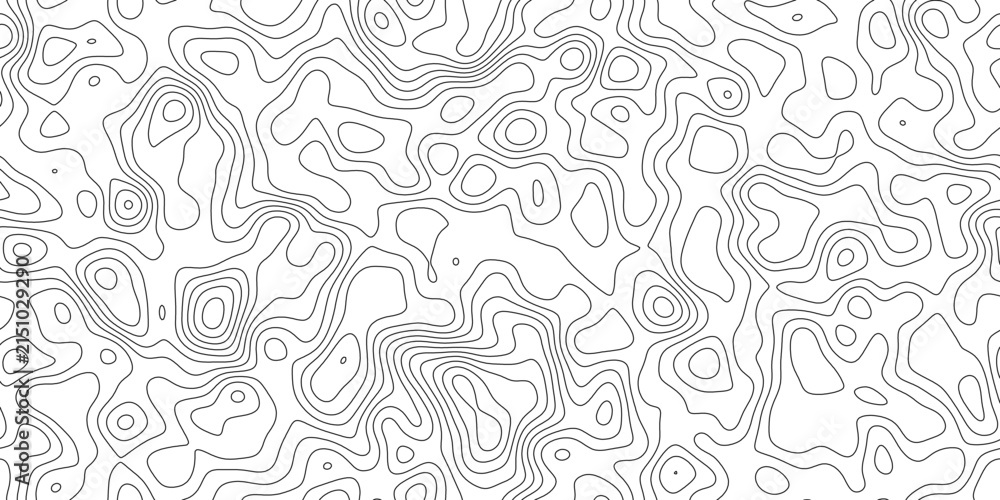 Fototapeta premium Modern abstract contour terrain background, abstract delicate line work mapping height and terrain, for website, header and print layout.