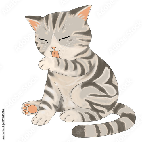 Foto Cute cartoon American Shorthair tabby cat sitting and licking paw isolated on wh
