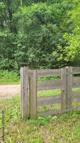 Rustic wooden gate at forest trail entrance surrounded by lush greenery