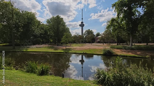 Erasmus Bridge and Euromast View Framed by City Park